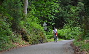 Trek Powerfly+ 9, Action Wald3