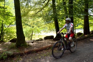 Trek Powerfly+ 9, Action Wald4