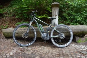 Trek Powerfly+9, Seitenansicht