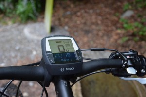 Trek Powerfly+ 9, Display