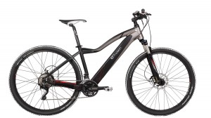 EV765 - EVO 29ER-web