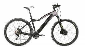 EV775 - EVO SNOW 29ER-web