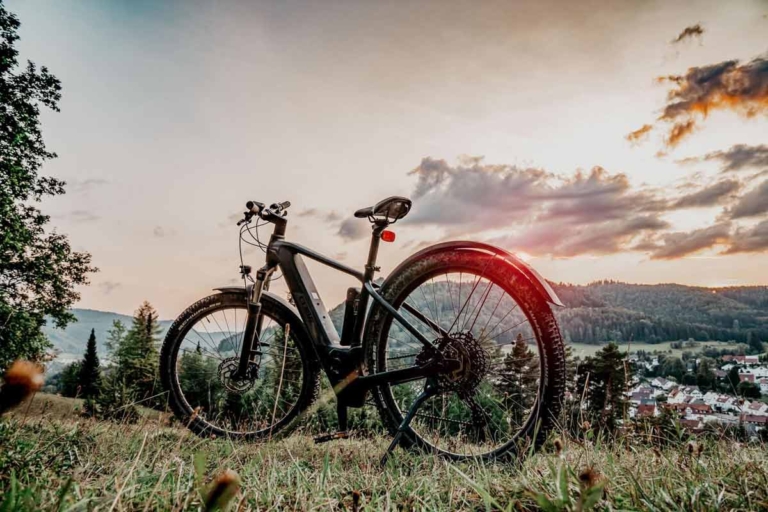 E-Bike für Mountainbiker