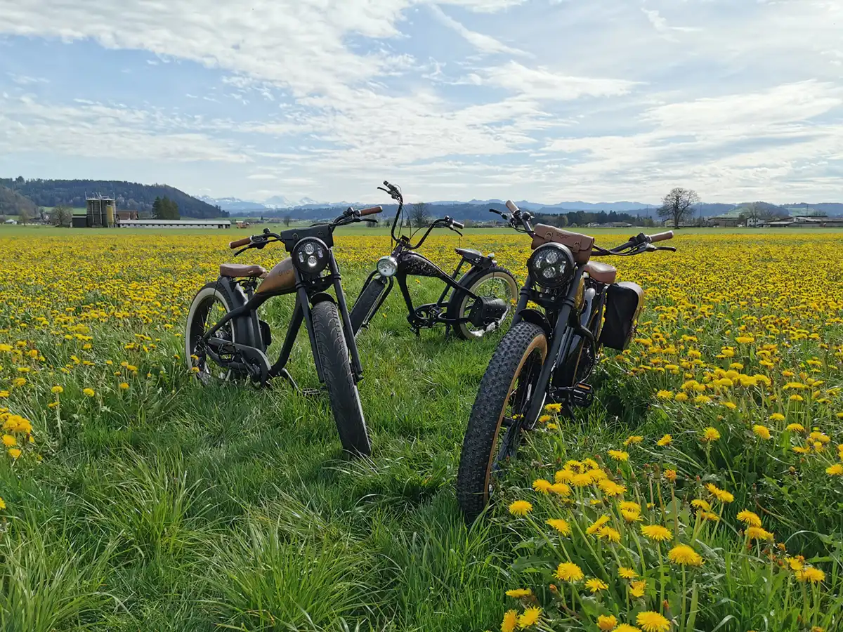 e-Rats: Das E-Bike, das den Cruiser-Lifestyle neu definiert!